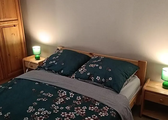 Lägenhet 1 Blisko Energylandii